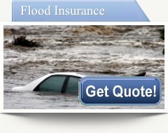 Flood insurance Tampa - American Landmark Insurance